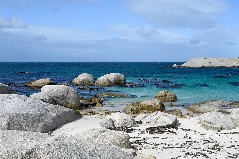 Penisola del Capo